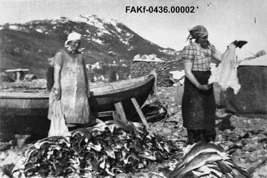 Vasking av fisk for tørking. Måsøyra 1934. Vi ser Kanutte Skarbø og Anna Tomassen Sjøholt i arbeid.  Fotograf: Hans L. Sjøholt Eigar: Ingrid Ørskog